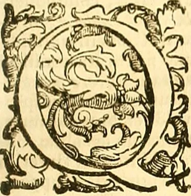 An illustration from Thomae Willis ... Opera omnia, nitidius quàm vnquam hactenus edita, plurimùm emendata, indice rerum copiosissimo, ac distinctione characterum exornata, 1694, leaf 208