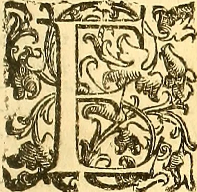 An illustration from Thomae Willis ... Opera omnia, nitidius quàm vnquam hactenus edita, plurimùm emendata, indice rerum copiosissimo, ac distinctione characterum exornata, 1694, leaf 314