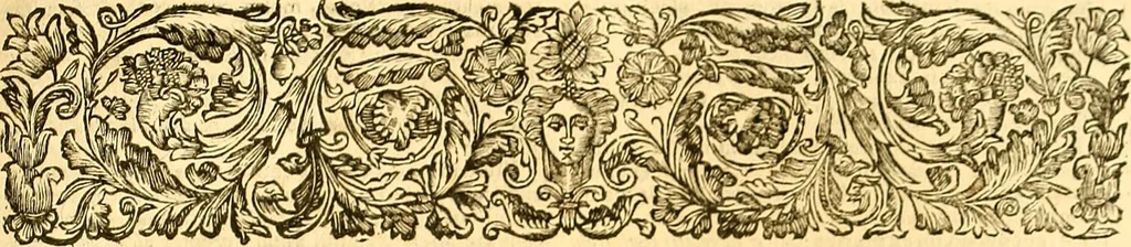 An illustration from Thomae Willis ... Opera omnia, nitidius quàm vnquam hactenus edita, plurimùm emendata, indice rerum copiosissimo, ac distinctione characterum exornata, 1694, leaf 316