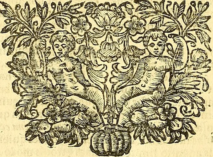 An illustration from Thomae Willis ... Opera omnia, nitidius quàm vnquam hactenus edita, plurimùm emendata, indice rerum copiosissimo, ac distinctione characterum exornata, 1694, leaf 325