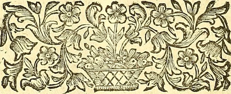 An illustration from Thomae Willis ... Opera omnia, nitidius quàm vnquam hactenus edita, plurimùm emendata, indice rerum copiosissimo, ac distinctione characterum exornata, 1694, leaf 519