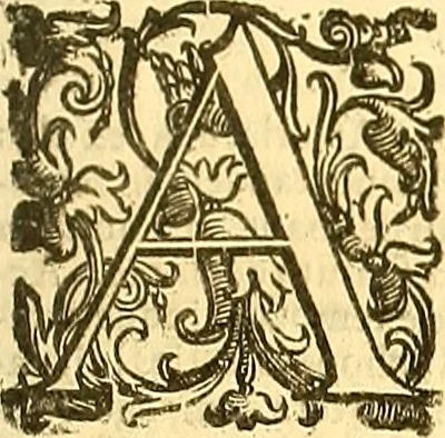 An illustration from Thomae Willis ... Opera omnia, nitidius quàm vnquam hactenus edita, plurimùm emendata, indice rerum copiosissimo, ac distinctione characterum exornata, 1694, leaf 520