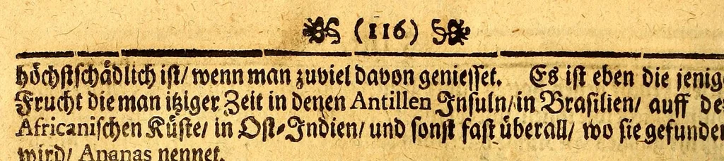 An illustration from Thomas Gage Neue merckwürdige Reise-Beschreibung nach Neü Spanien, : was ihm daselbst seltsames begegnet, und wie er durch die Provintz Nicaragua wider zurück nach der Havana gekehret: in welcher zu finden ist ein ausführlicher Bericht von der Stadt Mexico, wie selbte so wol vor alters gewesen, als auch wie sie ietzo beschaffen sey: ingleichen eine vollkommene Beschreibung aller Länder und Provinzen, welche die Spanier in gantz America besitzen; von ihrem Kirchen- und Policey-Regiment; ihrem Handel; wie auch von ihren und der Criollen, Mestifen [sic], Mulaten, Indianer und Schwartzen, Sitten und Lebens-Art. Deme allem zum Beschluss noch beygefüget ist ein kurtzer Unterricht von der Poconchischen oder Pocomanischen Sprache., 1693, leaf 128