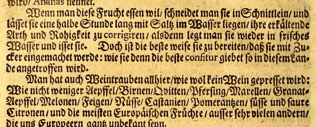 An illustration from Thomas Gage Neue merckwürdige Reise-Beschreibung nach Neü Spanien, : was ihm daselbst seltsames begegnet, und wie er durch die Provintz Nicaragua wider zurück nach der Havana gekehret: in welcher zu finden ist ein ausführlicher Bericht von der Stadt Mexico, wie selbte so wol vor alters gewesen, als auch wie sie ietzo beschaffen sey: ingleichen eine vollkommene Beschreibung aller Länder und Provinzen, welche die Spanier in gantz America besitzen; von ihrem Kirchen- und Policey-Regiment; ihrem Handel; wie auch von ihren und der Criollen, Mestifen [sic], Mulaten, Indianer und Schwartzen, Sitten und Lebens-Art. Deme allem zum Beschluss noch beygefüget ist ein kurtzer Unterricht von der Poconchischen oder Pocomanischen Sprache., 1693, leaf 128