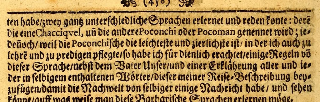 An illustration from Thomas Gage Neue merckwürdige Reise-Beschreibung nach Neü Spanien, : was ihm daselbst seltsames begegnet, und wie er durch die Provintz Nicaragua wider zurück nach der Havana gekehret: in welcher zu finden ist ein ausführlicher Bericht von der Stadt Mexico, wie selbte so wol vor alters gewesen, als auch wie sie ietzo beschaffen sey: ingleichen eine vollkommene Beschreibung aller Länder und Provinzen, welche die Spanier in gantz America besitzen; von ihrem Kirchen- und Policey-Regiment; ihrem Handel; wie auch von ihren und der Criollen, Mestifen [sic], Mulaten, Indianer und Schwartzen, Sitten und Lebens-Art. Deme allem zum Beschluss noch beygefüget ist ein kurtzer Unterricht von der Poconchischen oder Pocomanischen Sprache., 1693, leaf 472