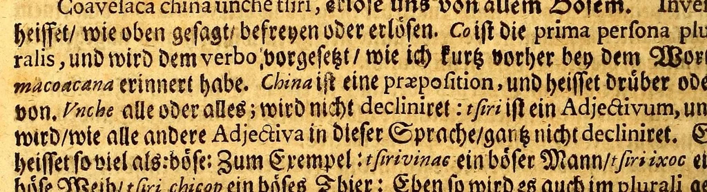 An illustration from Thomas Gage Neue merckwürdige Reise-Beschreibung nach Neü Spanien, : was ihm daselbst seltsames begegnet, und wie er durch die Provintz Nicaragua wider zurück nach der Havana gekehret: in welcher zu finden ist ein ausführlicher Bericht von der Stadt Mexico, wie selbte so wol vor alters gewesen, als auch wie sie ietzo beschaffen sey: ingleichen eine vollkommene Beschreibung aller Länder und Provinzen, welche die Spanier in gantz America besitzen; von ihrem Kirchen- und Policey-Regiment; ihrem Handel; wie auch von ihren und der Criollen, Mestifen [sic], Mulaten, Indianer und Schwartzen, Sitten und Lebens-Art. Deme allem zum Beschluss noch beygefüget ist ein kurtzer Unterricht von der Poconchischen oder Pocomanischen Sprache., 1693, leaf 484