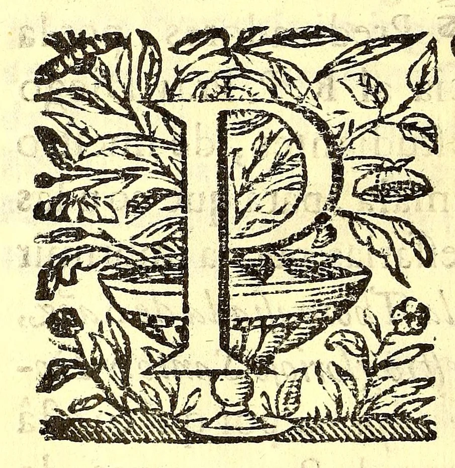 An illustration from Thomasiada al sol de la iglesia, y su doctor santo Thomas de Aquino., 1667, leaf 12