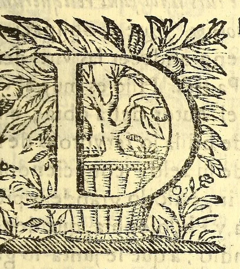 An illustration from Thomasiada al sol de la iglesia, y su doctor santo Thomas de Aquino., 1667, leaf 17