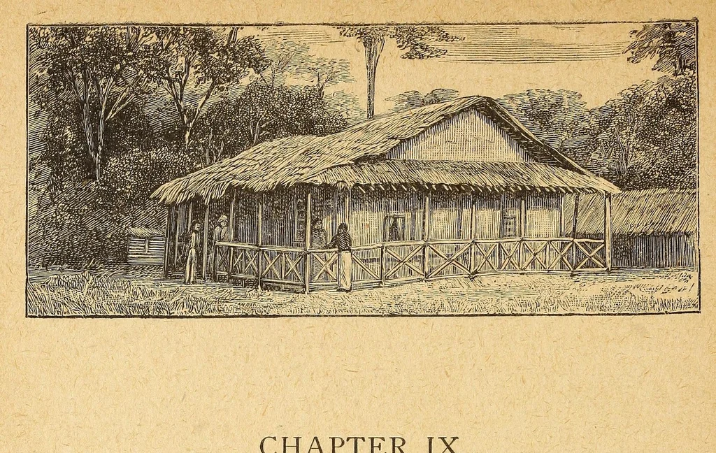 An illustration from Thomas J. Comber; missionary pioneer to the Congo, 1887, leaf 114
