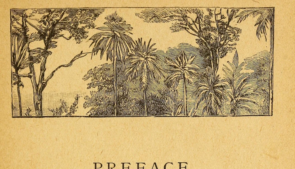 An illustration from Thomas J. Comber; missionary pioneer to the Congo, 1887, leaf 5