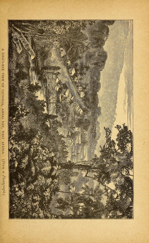 An illustration from Thomas J. Comber; missionary pioneer to the Congo, 1887, leaf 55