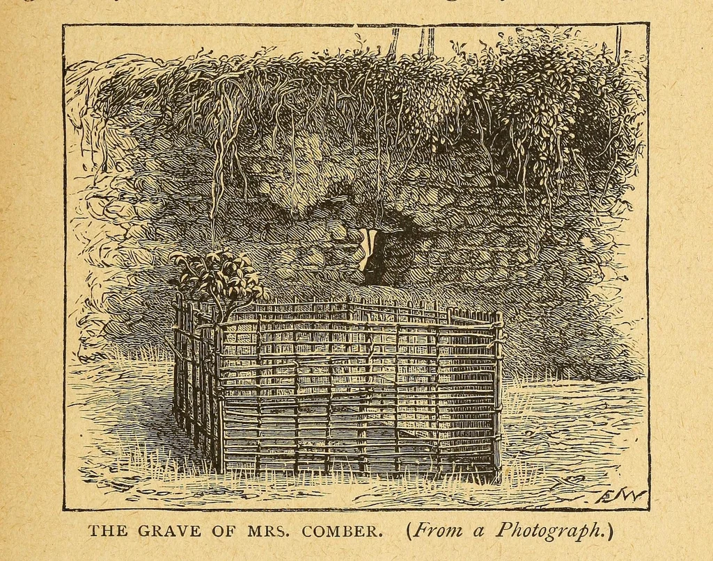 An illustration from Thomas J. Comber; missionary pioneer to the Congo, 1887, leaf 97