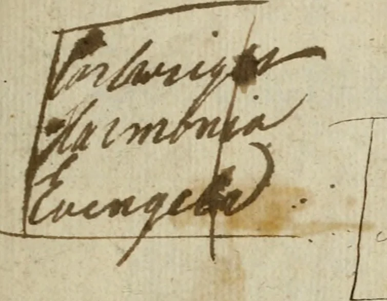 An illustration from Thomæ Cartwrighti ... Harmonia evangelica. commentario analytico, metaphrastico, practico, illvstrata: antehac diversis voluminibus edita, nunc summa industria in unum corpus redacta, summariis aucta, & à mendis, quibus scatebat, repurgata. Operis rationem & usum præfatio docebit, 1647, leaf 2