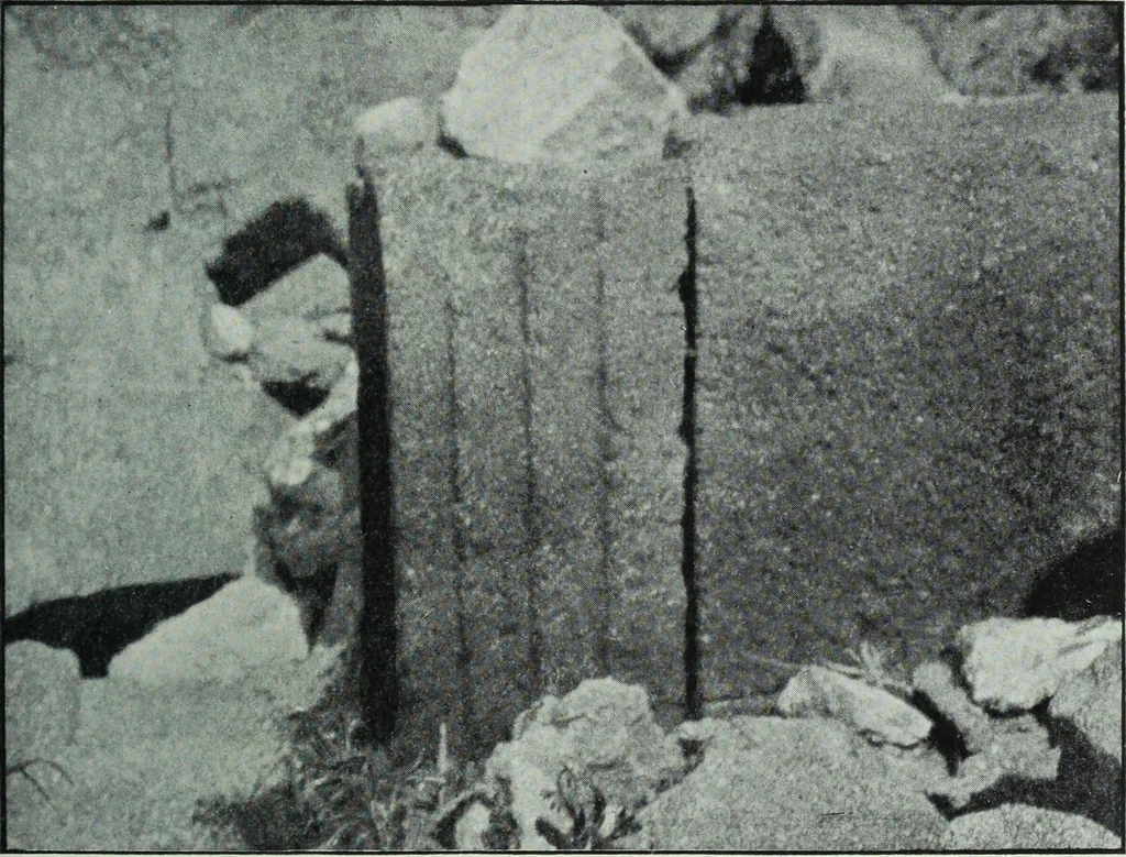 An illustration from The thousand and one churches, 1919, leaf 136