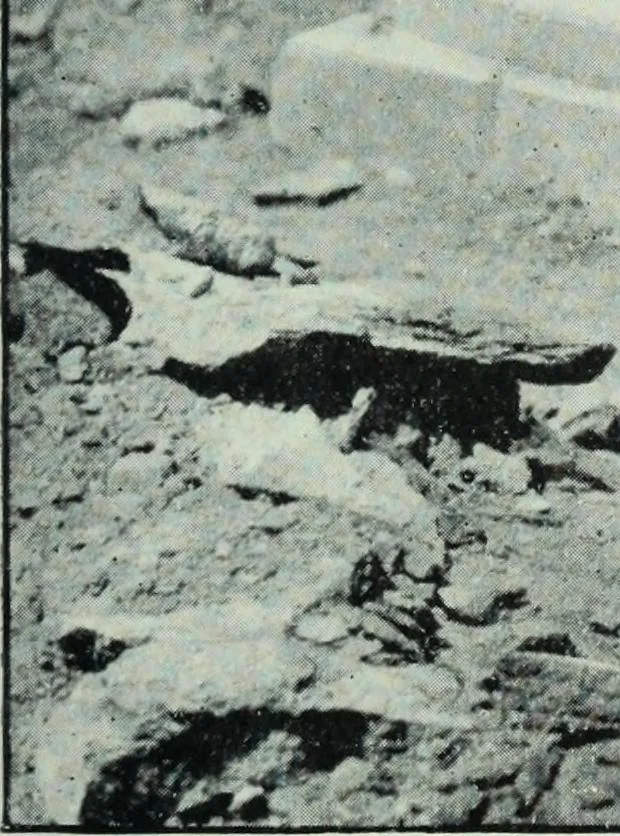 An illustration from The thousand and one churches, 1919, leaf 160