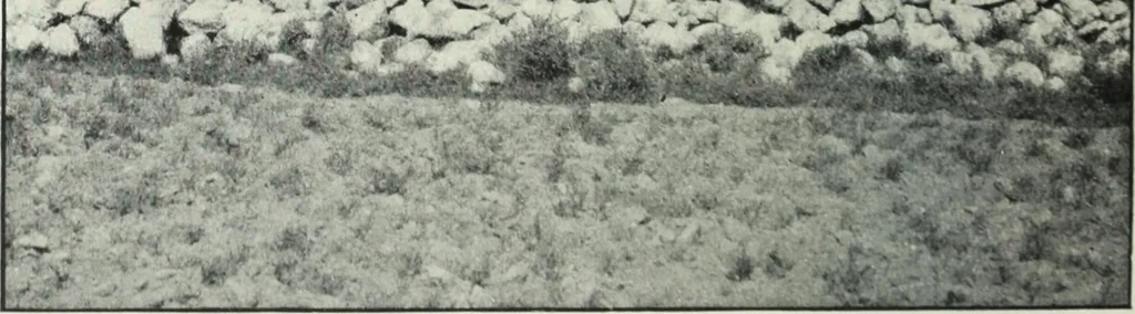 An illustration from The thousand and one churches, 1919, leaf 221