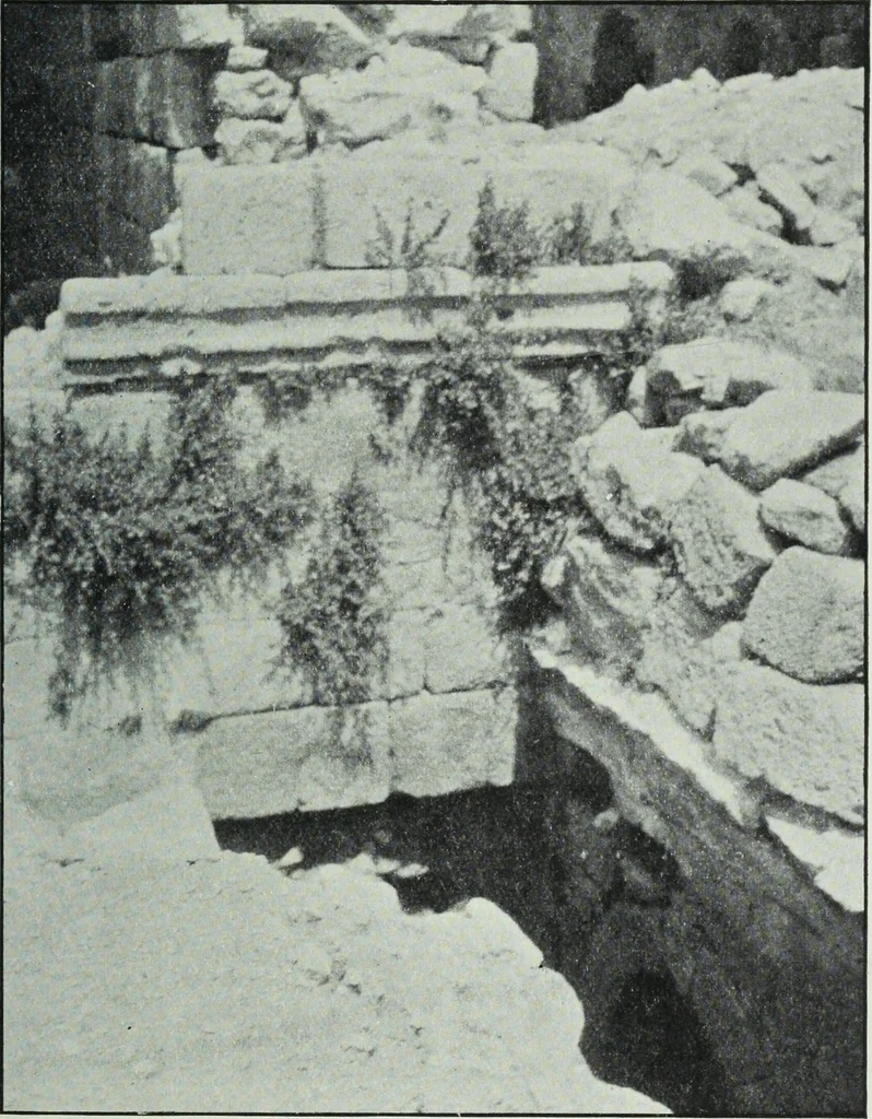 An illustration from The thousand and one churches, 1919, leaf 232