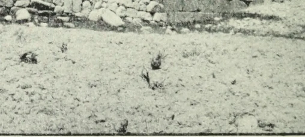 An illustration from The thousand and one churches, 1919, leaf 67