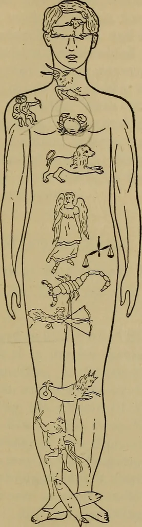An illustration from Three books of occult philosophy or magic, 1898, leaf 100