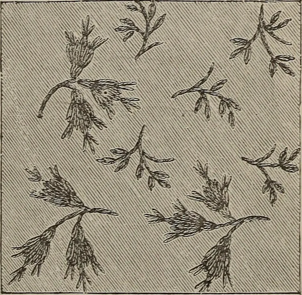 An illustration from Three hundred decorative and fancy articles for presents, fairs, etc., etc. ; with directions for making : and nearly one hundred decorative designs, 1885, leaf 126