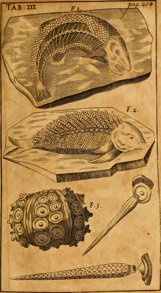 An illustration from Three physico-theological discourses : concerning: I. The primitive chaos and creation of the world ; II. The general deluge, its causes and effects ; III. The dissolution of the world and future conflagration .., 1713, leaf 246