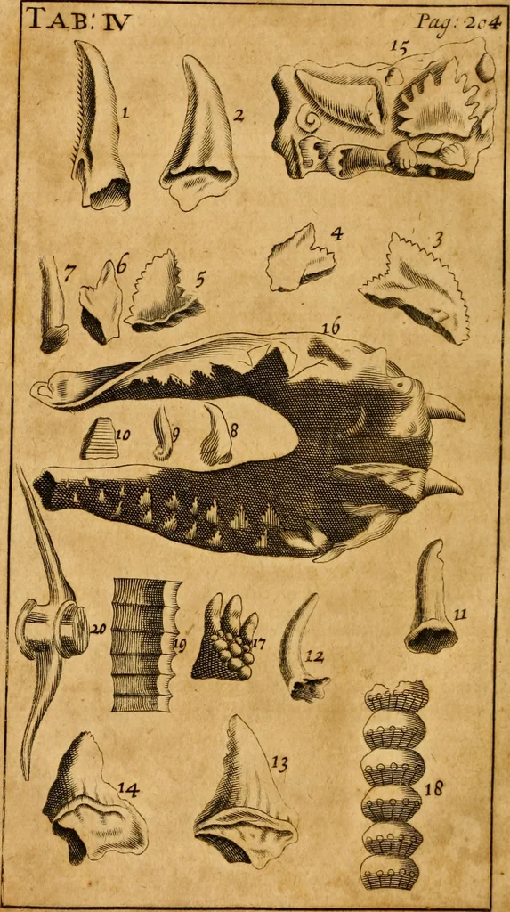 An illustration from Three physico-theological discourses : concerning: I. The primitive chaos and creation of the world ; II. The general deluge, its causes and effects ; III. The dissolution of the world and future conflagration .., 1713, leaf 249
