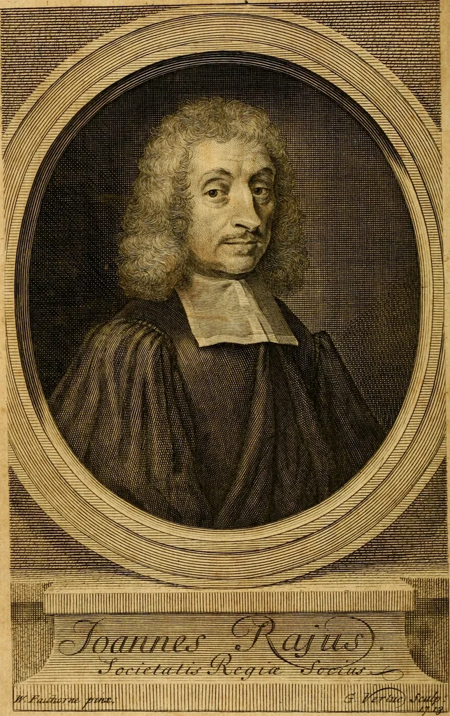 An illustration from Three physico-theological discourses : concerning: I. The primitive chaos and creation of the world ; II. The general deluge, its causes and effects ; III. The dissolution of the world and future conflagration .., 1713, leaf 7