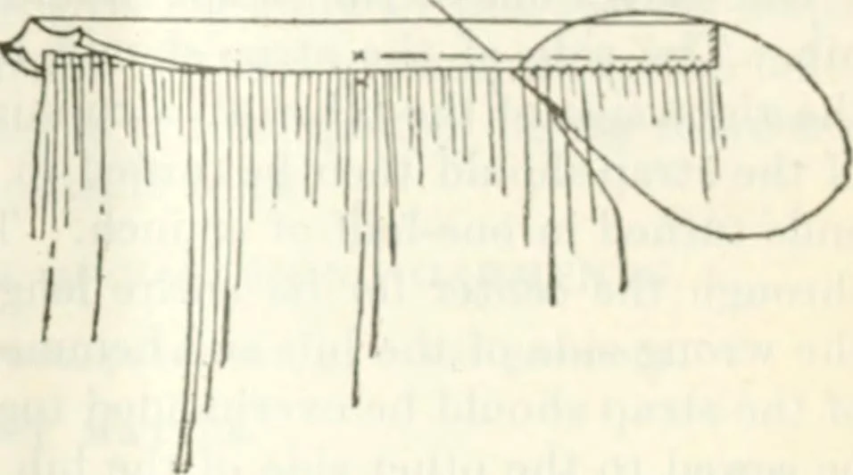 An illustration from Three short courses in home making, 1917, leaf 100