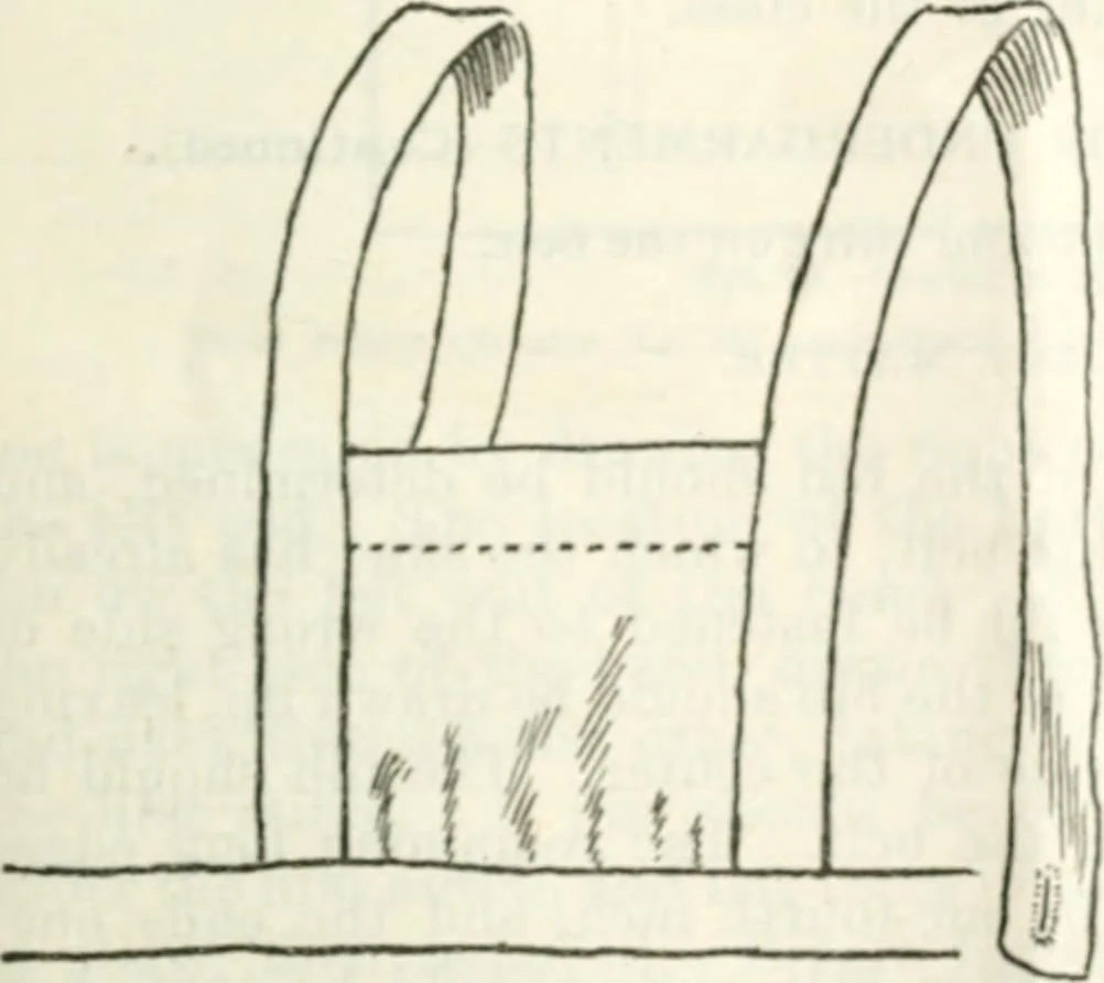 An illustration from Three short courses in home making, 1917, leaf 100