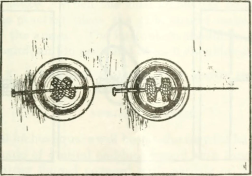 An illustration from Three short courses in home making, 1917, leaf 102
