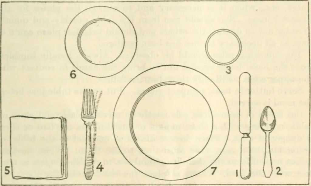 An illustration from Three short courses in home making, 1917, leaf 22