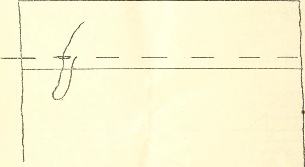 An illustration from Three short courses in home making, 1917, leaf 87