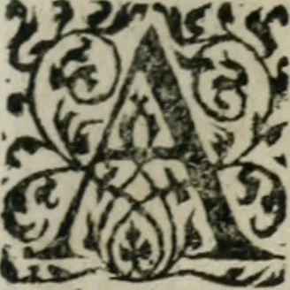 An illustration from Thresor d'histoires admirables et memorables de nostre temps, recueillies de plusieurs autheurs, memoires, & avis de divers endroits, 1610, leaf 1138