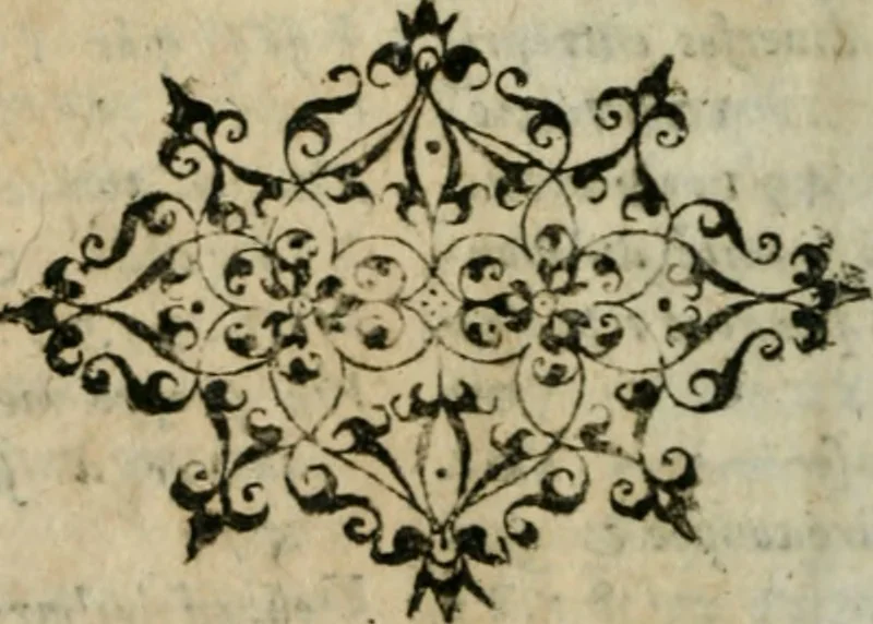 An illustration from Thresor d'histoires admirables et memorables de nostre temps, recueillies de plusieurs autheurs, memoires, & avis de divers endroits, 1610, leaf 1169
