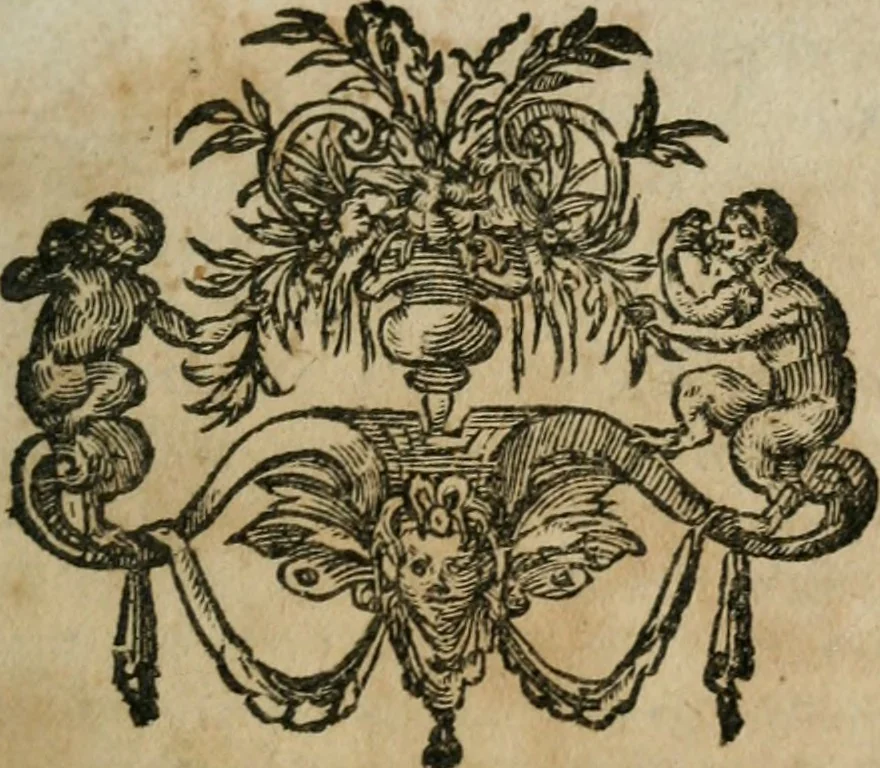 An illustration from Thresor d'histoires admirables et memorables de nostre temps, recueillies de plusieurs autheurs, memoires, & avis de divers endroits, 1610, leaf 18