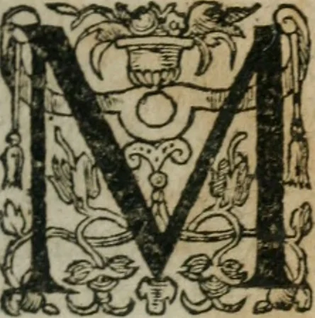 An illustration from Thresor d'histoires admirables et memorables de nostre temps, recueillies de plusieurs autheurs, memoires, & avis de divers endroits, 1610, leaf 576
