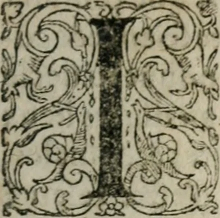 An illustration from Thresor d'histoires admirables et memorables de nostre temps, recueillies de plusieurs autheurs, memoires, & avis de divers endroits, 1610, leaf 8