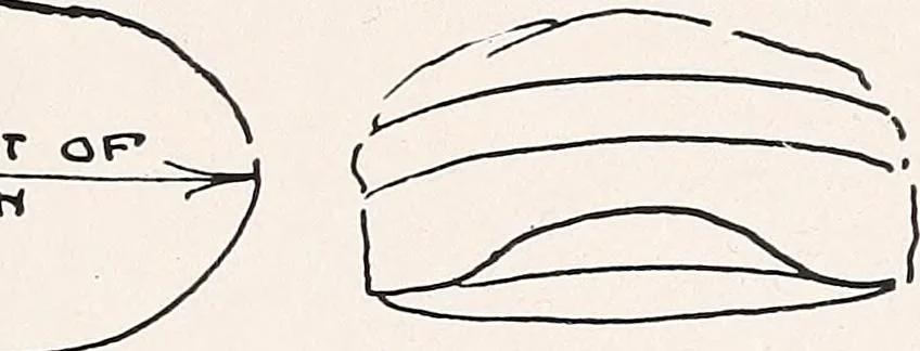 An illustration from Thrift clothing. by Mrs. Anna Hedges Talbot ... with contributions by Mettie B. Hills ... Laura M. Weisner, 1918, leaf 16