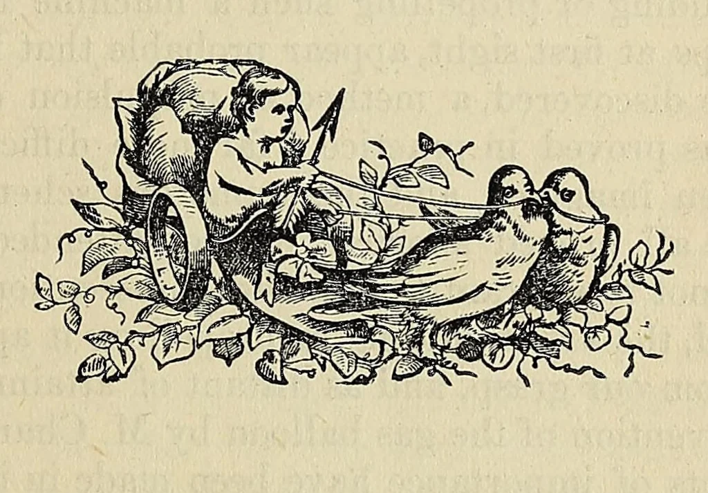 An illustration from Through the air: a narrative of forty years' experience as an aëronaut. Comprising a history of the various attempts in the art of flying by artificial means from the earliest period down to the present time. With an account of the author's most important air-voyages and his many thrilling adventures and hairbreadth escapes. Also, an appendix, in which are given full instructions for the manufacture and management of balloons, 1873, leaf 201
