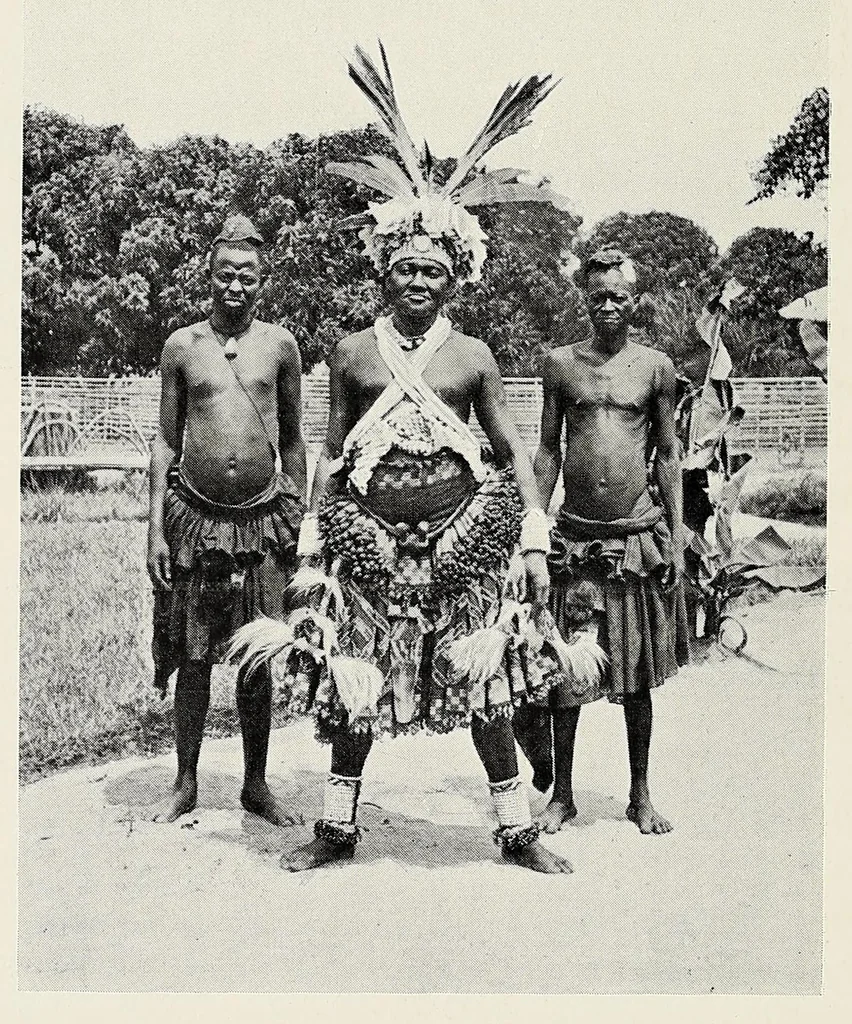 An illustration from Through Angola : a coming colony, 1922, leaf 254