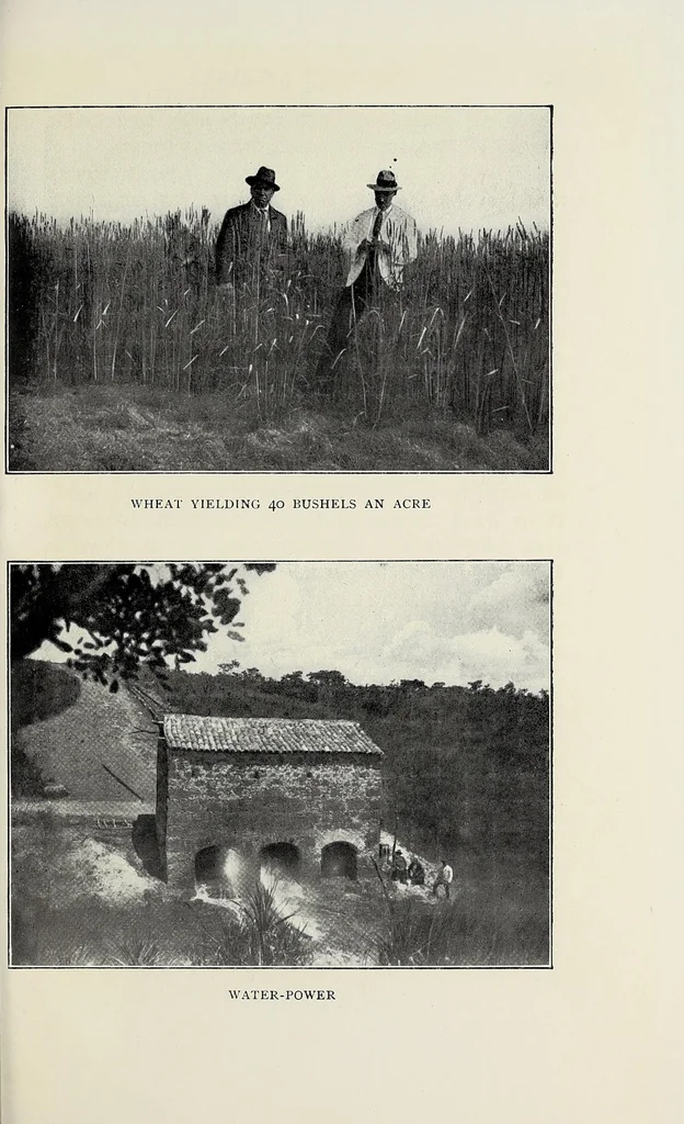 An illustration from Through Angola : a coming colony, 1922, leaf 449