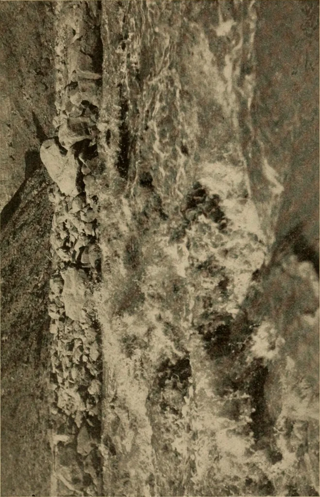 An illustration from Through the Grand Canyon from Wyoming to Mexico, 1914, leaf 274