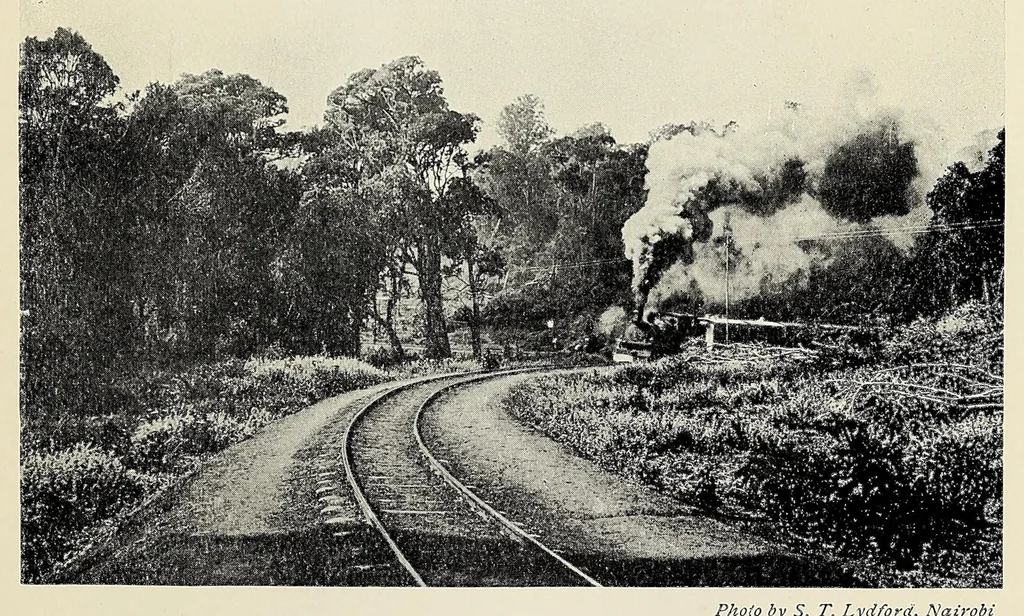 An illustration from Through the heart of Africa : being an account of a journey on bicycles and on foot from Northern Rhodesia, past the great lakes, to Egypt, undertaken when proceeding home on leave in 1910, 1912, leaf 177