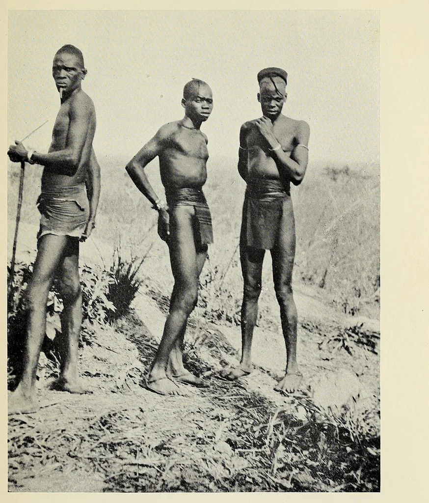 An illustration from Through the heart of Africa : being an account of a journey on bicycles and on foot from Northern Rhodesia, past the great lakes, to Egypt, undertaken when proceeding home on leave in 1910, 1912, leaf 343