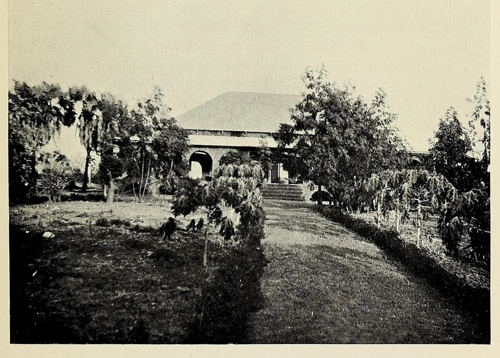 An illustration from Through the heart of Africa : being an account of a journey on bicycles and on foot from Northern Rhodesia, past the great lakes, to Egypt, undertaken when proceeding home on leave in 1910, 1912, leaf 359