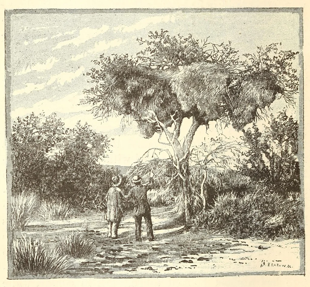 An illustration from Through the Kalahari Desert; a narrative of a journey with gun, camera, and note-book to Lake N'gami and back, 1886, leaf 230