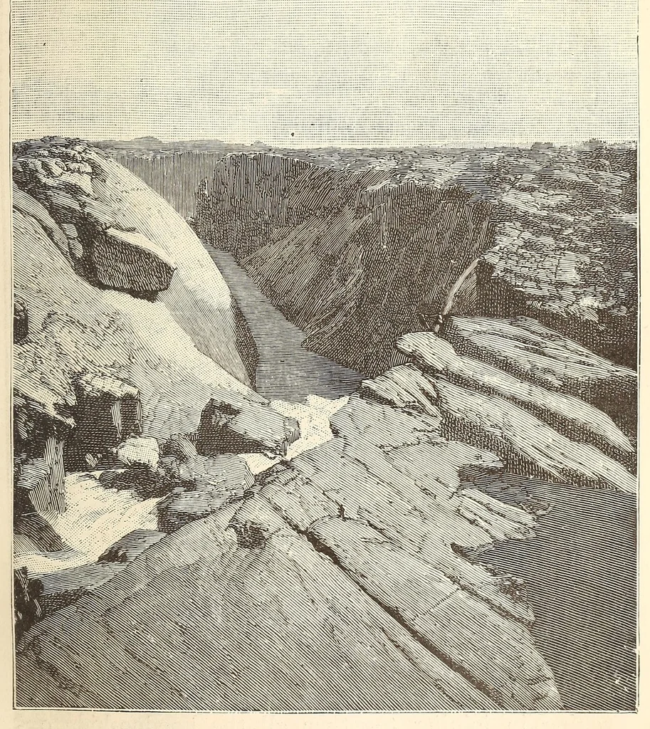 An illustration from Through the Kalahari Desert; a narrative of a journey with gun, camera, and note-book to Lake N'gami and back, 1886, leaf 445