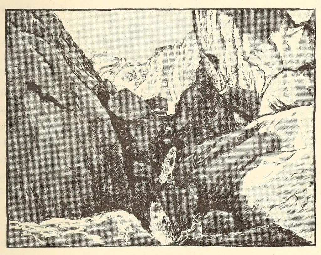 An illustration from Through the Kalahari Desert; a narrative of a journey with gun, camera, and note-book to Lake N'gami and back, 1886, leaf 461