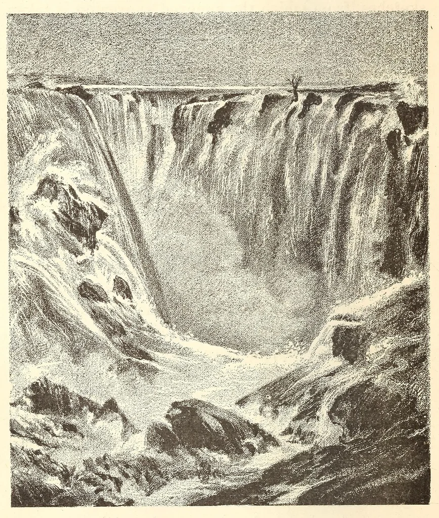 An illustration from Through the Kalahari Desert; a narrative of a journey with gun, camera, and note-book to Lake N'gami and back, 1886, leaf 474