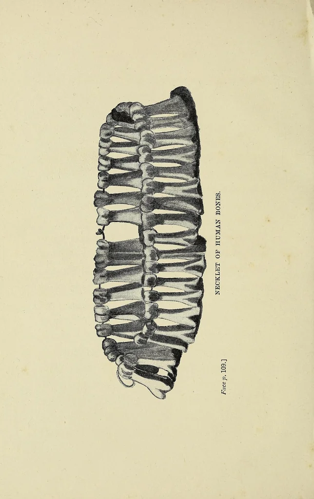 An illustration from Through Matabeleland: the record of a ten months' trip in an ox-wagon through Mashonaland and Matabeleland, 1893, leaf 176